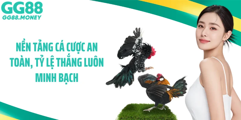 Nền tảng cá cược an toàn, tỷ lệ thắng luôn minh bạch