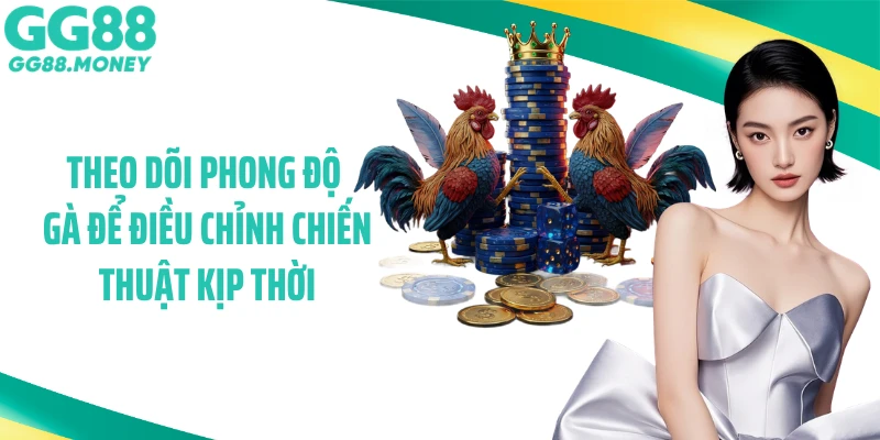 Theo dõi phong độ gà để điều chỉnh chiến thuật kịp thời