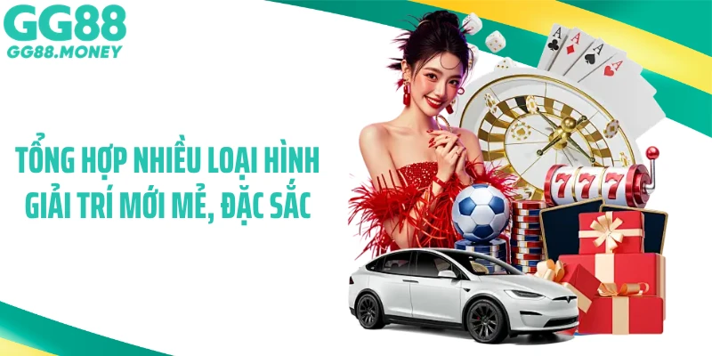 Tổng hợp nhiều loại hình giải trí mới mẻ, đặc sắc