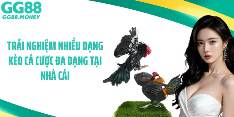 Trải nghiệm nhiều dạng kèo cá cược đa dạng tại nhà cái