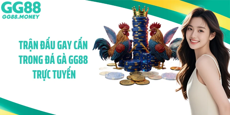 Trận đấu gay cấn trong đá gà GG88 trực tuyến