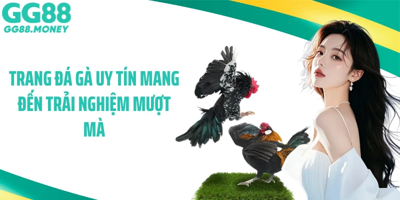 Trang đá gà uy tín mang đến trải nghiệm mượt mà