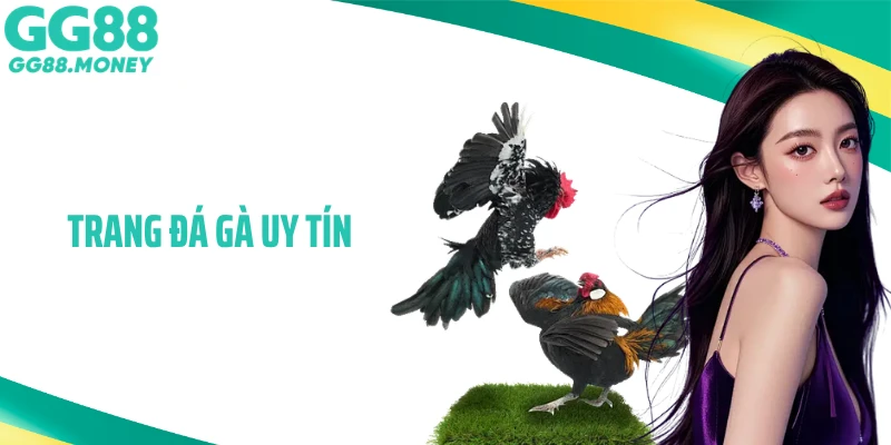 Nhà Cái GG88: Trang Đá Gà Uy Tín Số 1 Hiện Nay